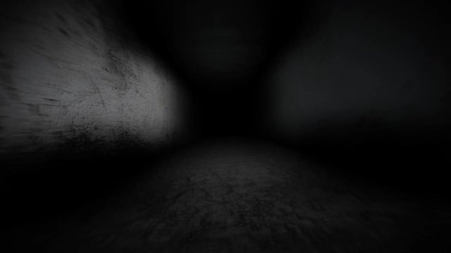 The gloomy corridor. Dark mysterious corridor. 76