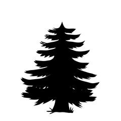 Black silhouette of pine tree icon isolated on white background.