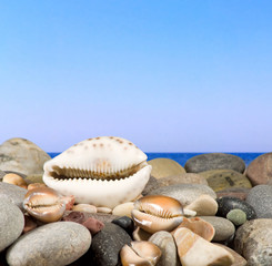 Obraz na płótnie Canvas stones and sea shells on sea background