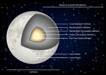 Obraz premium Moon structure diagram vector illustration