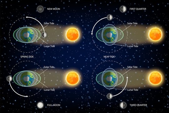 Lunar and Solar tides diagram vector illustration