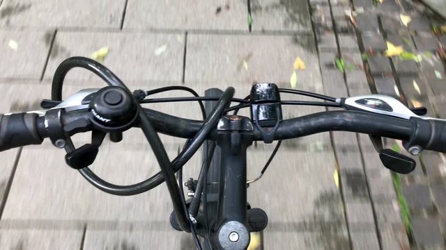 Cyclist point of view while biking on the Daan park lane on a summer afternoon.