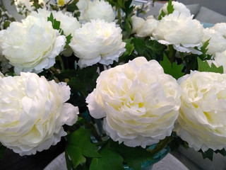 flowers. roses. macro. artificial flowers. beige. cream. ivory. dairy color.