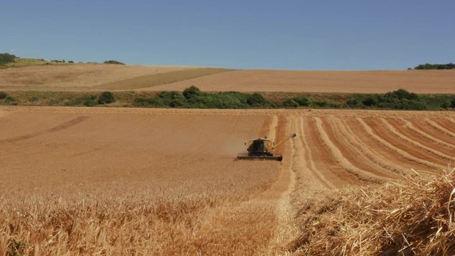 moisson des bl&eacute;s 
video 4k