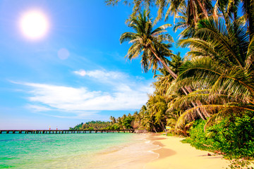 Fototapeta na wymiar beautiful beach and tropical sea. Palm and tropical beach