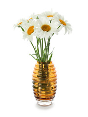 Fototapeta premium Vase with beautiful chamomile flowers on white background