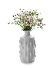 Vase with beautiful chamomile flowers on white background