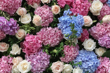 Flowered wedding wall. Decor with color hydrangea and roses. Wedding wall for ceremony and photo.
