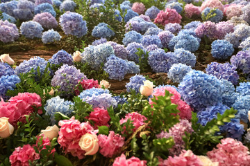 Flowered wedding wall. Decor with color hydrangea and roses. Wedding wall for ceremony and photo.
