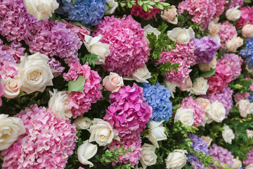 Flowered wedding wall. Decor with color hydrangea and roses. Wedding wall for ceremony and photo.
