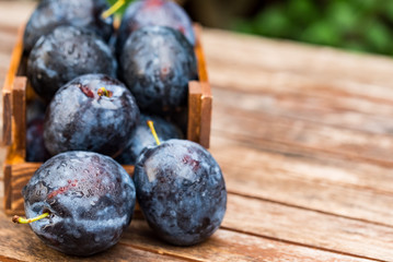 Fresh ripe plums in wooden box close
