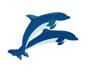 Two blue dolphins jumps. Vector  isolated illustration on white background.
