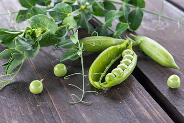 Green peas with leaves