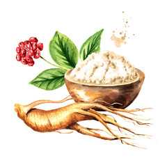 Organic fresh ginseng root and powder. Watercolor hand drawn illustration, isolated on white background