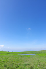 夏の霧ヶ峰高原