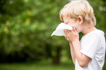 Kind mit Heuschnupfen putzt die Nase