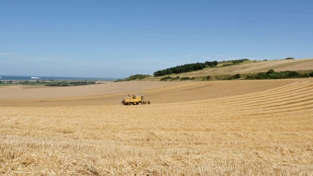 moisson des bl&eacute;s 
video 4k