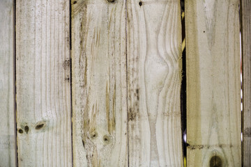 Vertical Rough Blonde Wood Texture