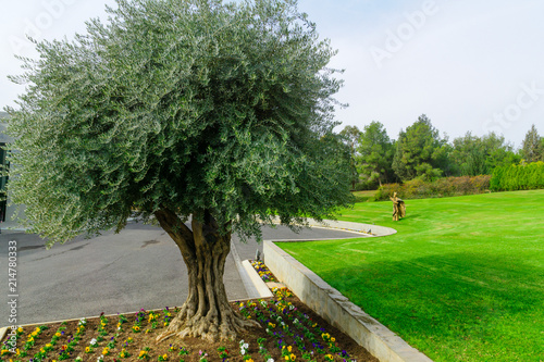 Domus Galilaeae House Of Galilee Monastery Stock Photo And