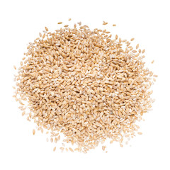 Wheat grains on white background
