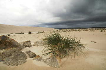 Betty's Bay beach, Cape Town, South Africa