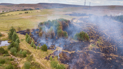 Aerial drone view of a wildfire in a grass and forested area