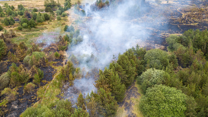 Aerial drone view of a wildfire in a grass and forested area