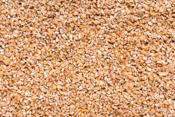 Barley seeds background