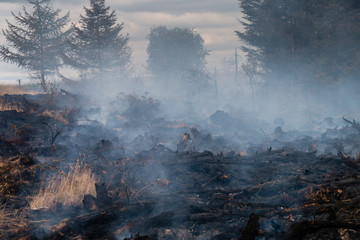 A smouldering grass fire next to a forest on a Welsh mountain