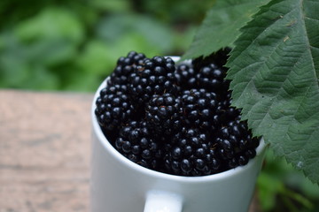Ripe juicy fresh blackberries in a white cup in the garden in the summer