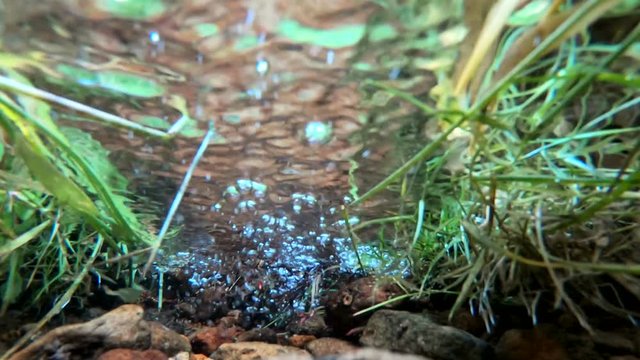 Elsavaquelle, Quelle, Quellwasser, Unterwasser