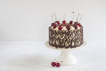 Homemade german cake - Black forest, with chocolate decoration.