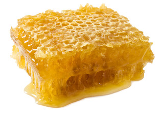 isolated honey in honeycombs closeup