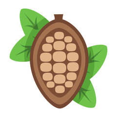Cocoa beans with leaves on white background
