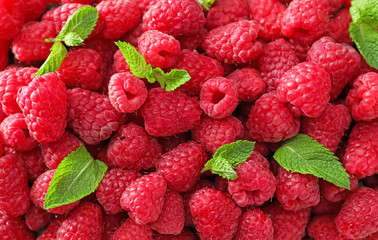 Sweet ripe raspberries and mint leaves as background