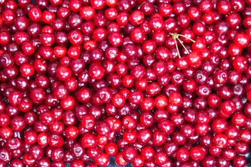 background of red ripe cherries