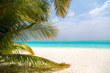 Fototapeta na wymiar Tropischer Strand auf den Malediven 