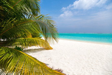 Obraz na płótnie Canvas Tropischer Strand auf den Malediven 