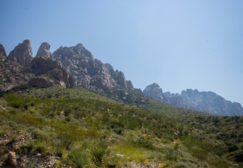 Fototapeta na wymiar Summertime in Organ Mountains, New Mexico