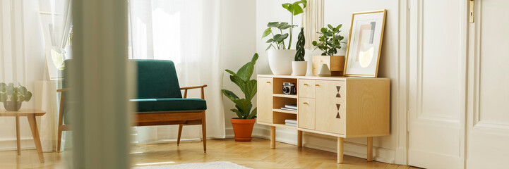 Real photo of wooden cupboard with fresh plants, modern poster and books standing in white living room interior with green wooden sofa