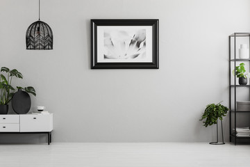 Poster on grey wall in empty living room interior with plants, lamp and cupboard. Place for your...