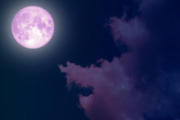 Obraz na płótnie Canvas super full pink moon back silhouette night sky