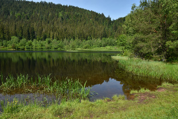 Sankenbachsee beim Baiersbronner Sankenbachsteig im Schwarzwald; Genießerpfad;