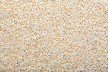 Short grain rice as background