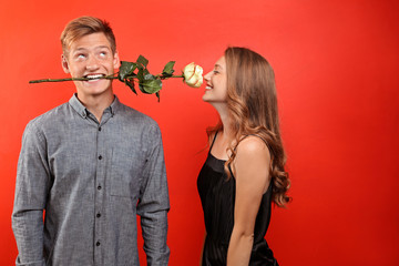 Young man holding beautiful flower for his beloved girlfriend in mouth on color background