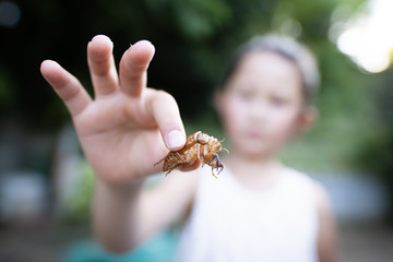 蝉の抜け殻を持つ女の子