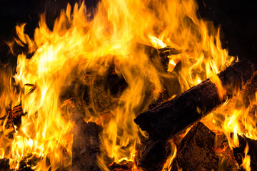 Firewood burning in the fire. Burning fire.