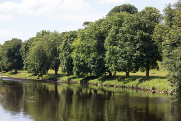 Fototapeta premium Yorkshire river in Summer