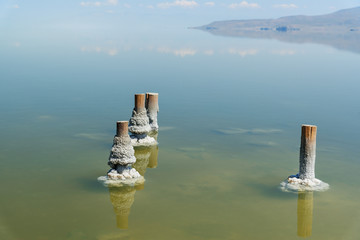 Wooden pillars with crystallized salt on Urmia Salt Lake. Iran