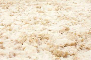 Fototapeta na wymiar dirty white foam on a sea water surface